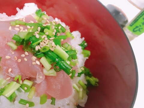 これぞしんぷるまぐろ丼( ˙꒳​˙ )